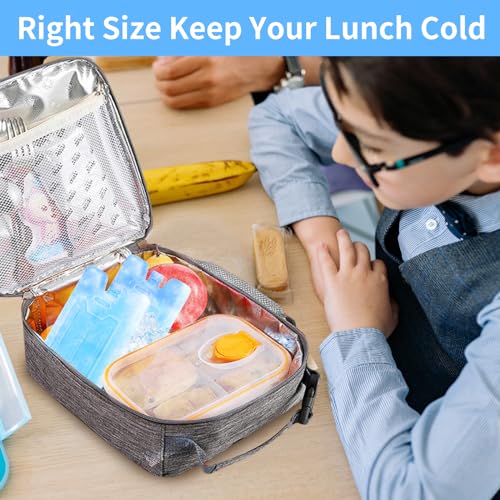 4/8 Pack Slim Reusable Ice Packs for Lunch Boxes & Coolers, Quick Freeze Long-Lasting Picnic Accessories for Women Trave